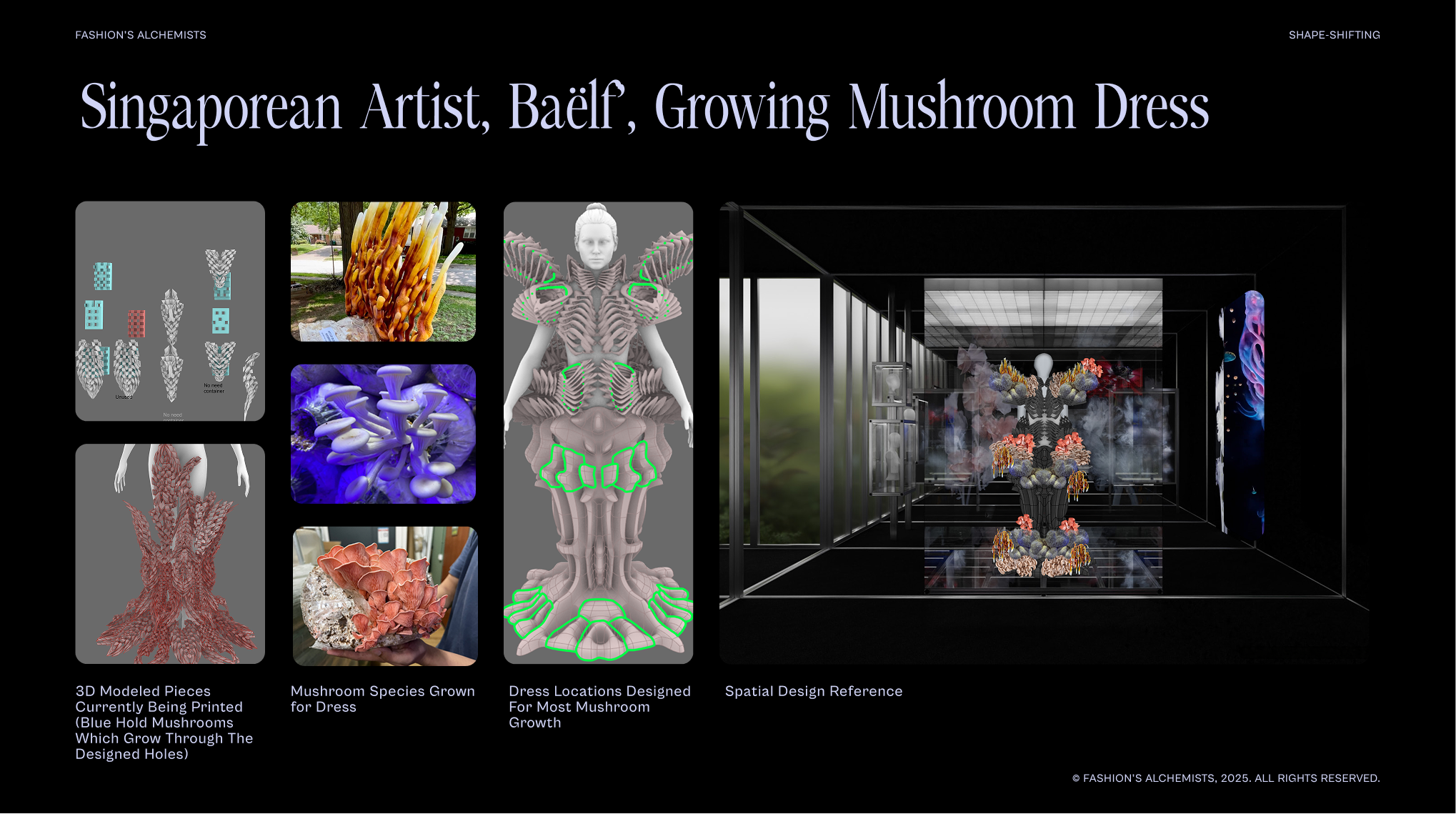 Baëlf — Growing Mushroom Dress
