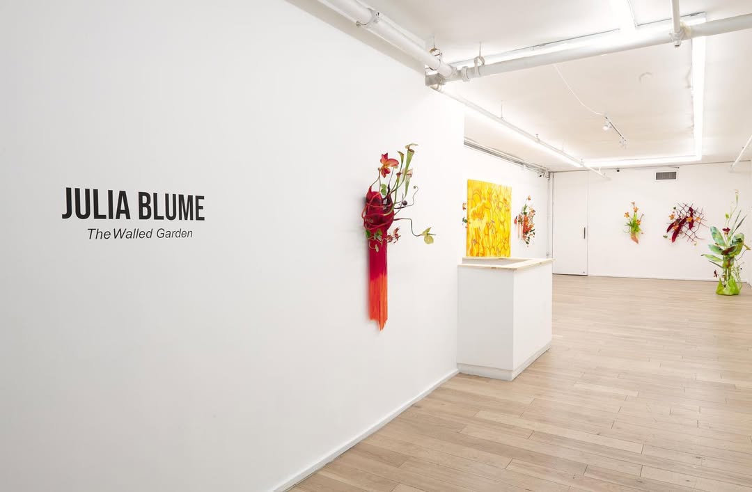The Front Gallery